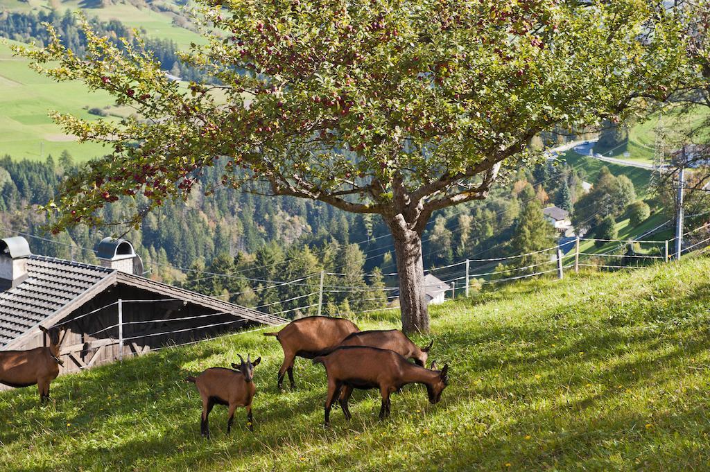 Hotel Gasthof Handl Schönberg im Stubaital Екстериор снимка